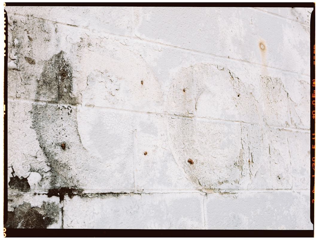 Burst Pipe Repair service in Detroit, MI